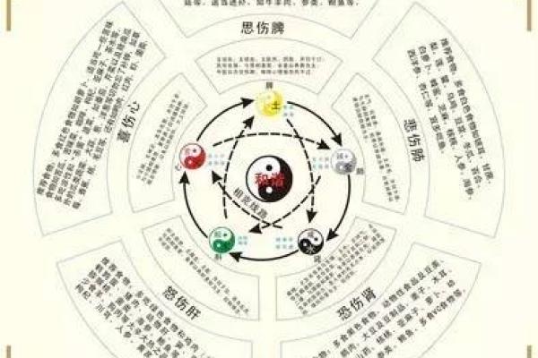 五行究竟属于什么？深度解析