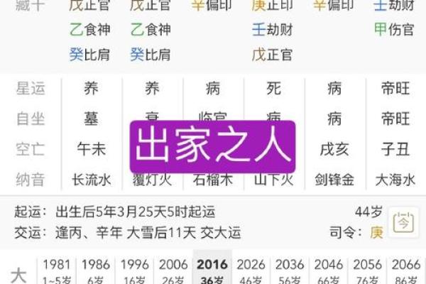 臧八字命运解析：从八字看人生的成败