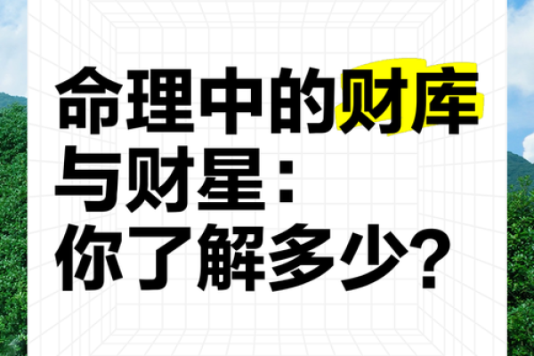 轻松学命理：用财库法则提升投资决策的准确性