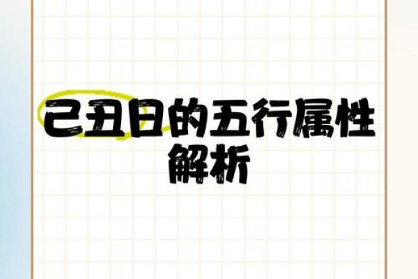 深入分析丽字五行属性，助你决策未来