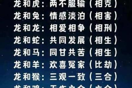 龙兔组合：揭秘最般配的生肖情侣