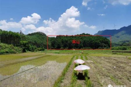 揭秘平原公墓风水奥秘：选址布局，如何成就子孙富贵旺地？
