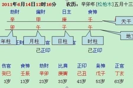 高官八字解析：如何从命理看他们的事业成功