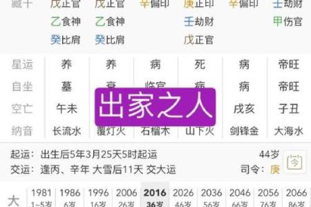 臧八字命运解析：从八字看人生的成败