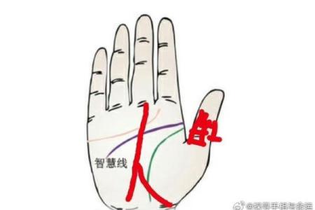 揭秘手相奥秘：一招识别运势，让你的命运从此改写