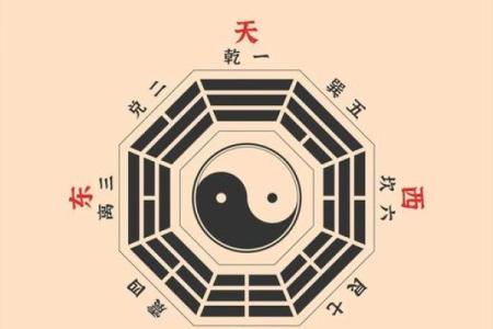 深入分析丽字五行属性，助你决策未来