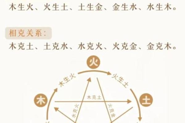 田五行属性揭秘