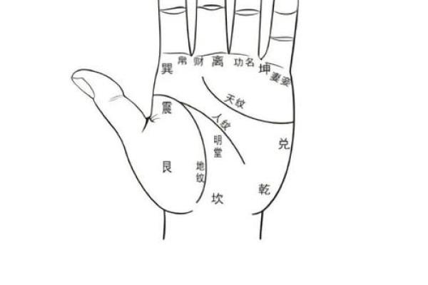 掌中乾坤：揭秘手相奥秘，解锁命运之门