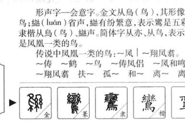 亦字五行分析：它究竟属于哪个元素？