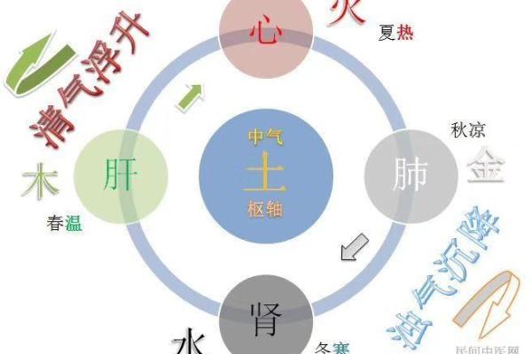 鸡蛋五行属性大揭秘！它竟然是这个！