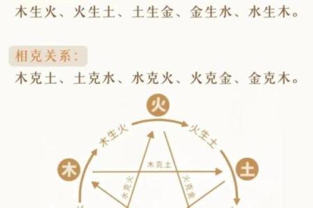 田五行属性揭秘