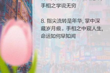 掌中乾坤：揭秘手相奥秘，解锁命运之门