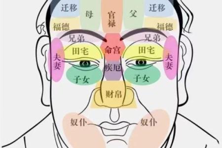 面相揭秘：掌握这些面部特征，财运亨通，福气满满