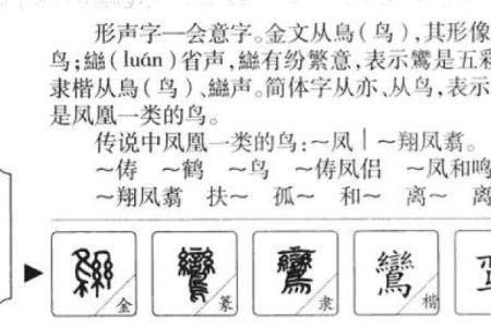 亦字五行分析：它究竟属于哪个元素？