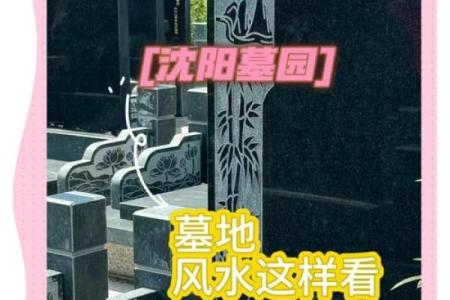 揭秘风水秘籍：教你如何选地打造风水宝地坟地