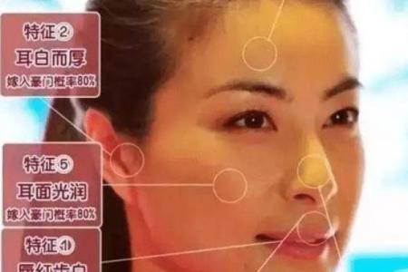 鼻翼有痣，财运亨通？一图看懂痣相算命秘密