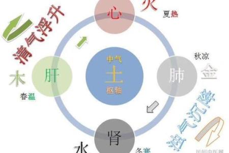 鸡蛋五行属性大揭秘！它竟然是这个！