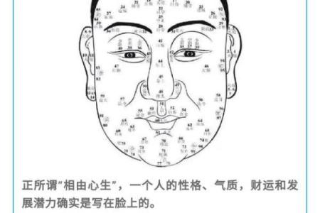 面相揭秘：这些面相特征竟预示着不幸与衰败