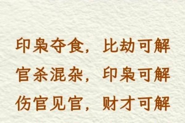 掌握命理十神关，步步为营改变未来命运
