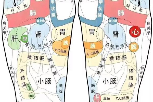 看脚底痣相，知晓你的一生运势