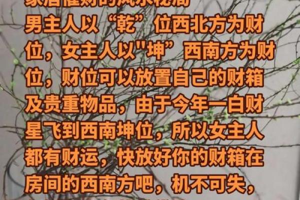 揭秘风水三砂：家居布局的神秘力量，让你财运亨通、事业兴旺