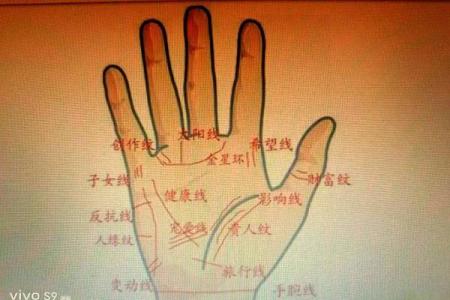 揭秘手相秘密：掌握时间轮廓，解锁命运密码