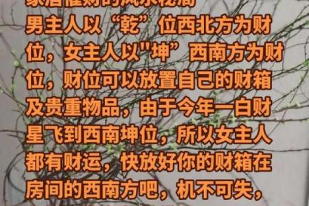 揭秘风水三砂：家居布局的神秘力量，让你财运亨通、事业兴旺