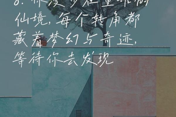 穿越尘埃，探索命理的无尽可能