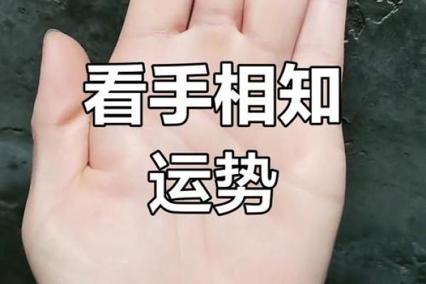 揭秘手相奥秘：指尖舞动，财运亨通