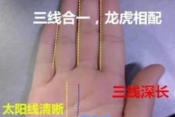 手相揭秘：揭秘富婆线，让你一眼看穿财富命理