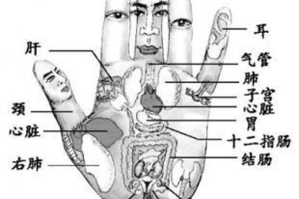 山根位面揭秘：揭秘面部特征背后的命运密码