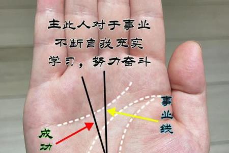 川字掌纹揭秘：财运亨通的秘密武器