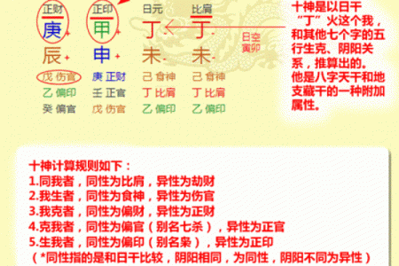 想精准算命？八字排盘破解版带你快速入门