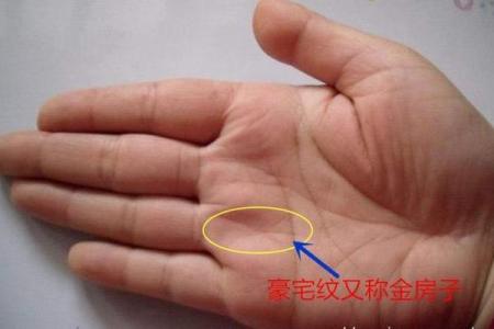 一招看手相，揭秘你的姓氏之谜