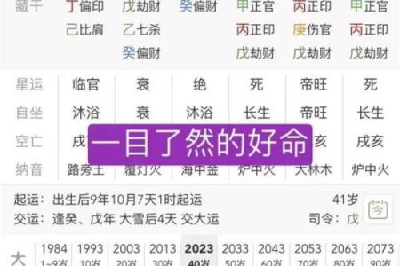 安康八字解析：如何通过八字找到命运的突破口