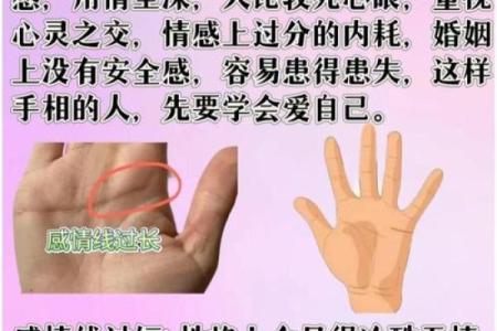 掌中秘密：揭秘让丈夫疼爱一生的手相奥秘
