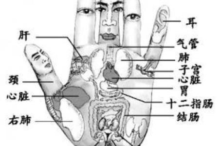 山根位面揭秘：揭秘面部特征背后的命运密码