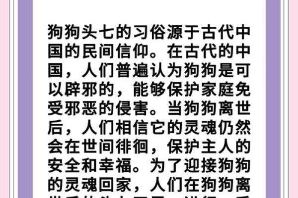 揭秘狗狗七条命的神秘传说，你家宠物到底有多少命？