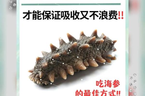海参命名艺术：让名字更加与众不同