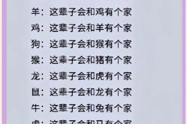 生肖配对秘籍：12生肖完美婚配大揭秘