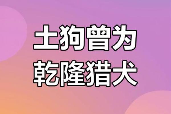 功勋卓著的生肖狗：守护荣耀的忠诚猎犬