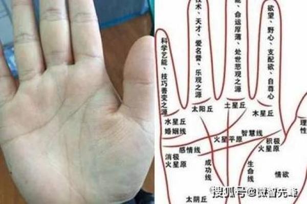 手相揭秘：性欲线透露你的床上秘密