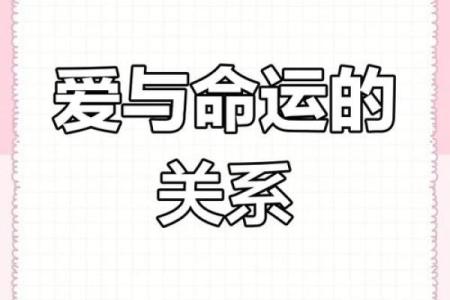 背后旋命理：潜藏在你身后的命运真相