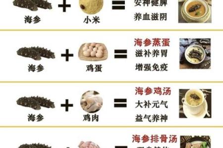 海参命名艺术：让名字更加与众不同