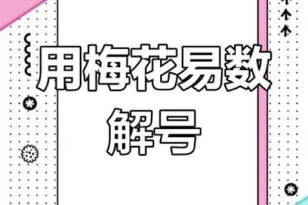一部手机排盘，梅花易数帮你揭开命运的神秘面纱