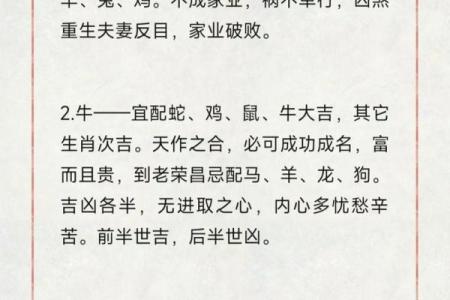生肖配对秘籍：12生肖完美婚配大揭秘