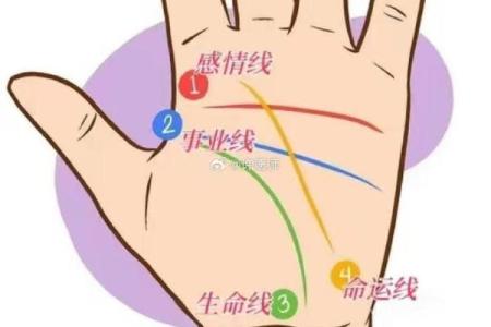 手相揭秘：性欲线透露你的床上秘密