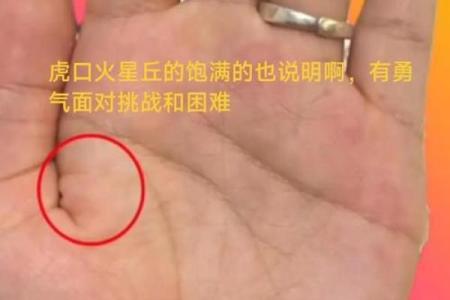 揭秘手相奥秘，揭秘命运之谜