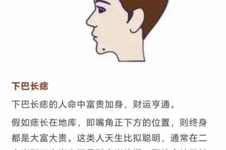 面相大师揭秘：下巴痣相的财富秘密