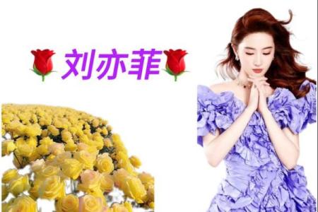 用命理学破解明星运势，成就辉煌人生